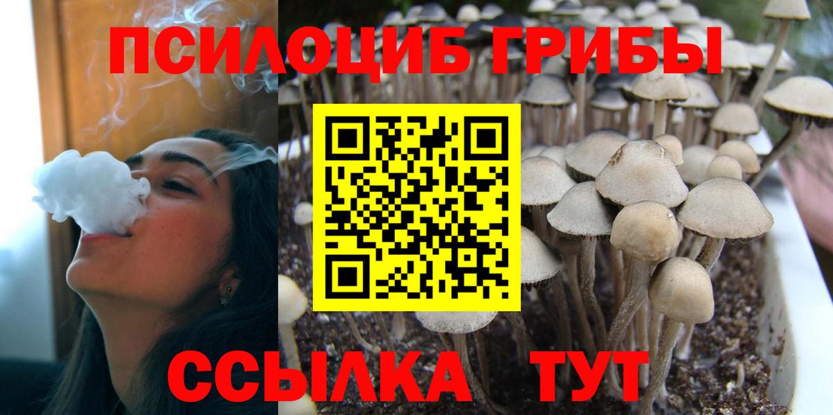 Галлюциногенные грибы MAGIC MUSHROOMS  Вход с VPN  Галлюциногенные грибы Psilocybine cubensis  закладки  Белогорск 